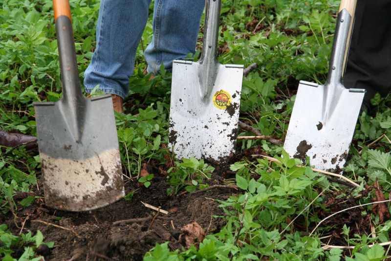 pepiniere-LEVENS-min_work-lawn-flower-tool-green-backyard-1103633-pxhere.com